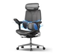 Hbada E3 Pro Silla de Oficina Ergonomica - Soporte Lumbar Dinámico de 3 Zonas, Reposacabezas 4D y Brazos 6D, Silla Ergonomica Escritorio Sin Pedales (Oscuro)