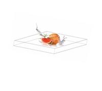 HBALDTEDC Fotografía de acrílico dinámico Tanque de Agua, Bandeja acrílica for fotografía, Caja de Almacenamiento for Tanque de Aguas Poco Profundas, Varios tamaños(40x80x5cm/15.7x31.5x2in)