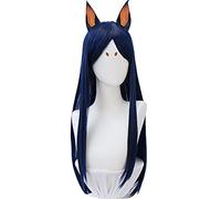 HBYLEE Anime Coser Pruik Game Arknights Doberman Cosplay Peluca, azul oscuro, pelo largo, Cosplay para niña, peluca larga azul oscuro, pelo sintético de fibra [color: monocolor]