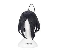 HBYLEE Anime Coser Pruik Sword and Shield Allister Cosplay Peluca corta negro gris stylot peluca sintética resistente al calor + gorro de peluca [color: Onecolor]