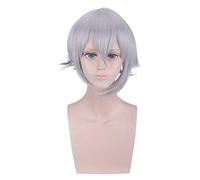 HBYLEE - Anime Role Play For Fgo Lang Lin Wang Wig Silver Gray Hair Wig Fate Grand Order Apocrypha Cosplay Wig 35 cm [Color:Silver Gray]