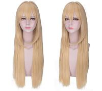 HBYLEE - Anime Role Play Wig for Violet Evergarden Cosplay Wig Women 80cm Long Straight Blonde Hair Wigs Costume Party [Color:Blond]
