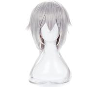 HBYLEE - Peluca Anime Cosplay Anime Bungo Perros Callejeros Fukuzawa Yukichi Plateado Blanco Plateado Pelo Sintético Resistente al Calor Cosplay Peluca + Gorro de Peluca [Color:-]