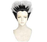 HBYLEE Peluca de Anime Coser Anime Haikyuu! Kotaru Bokuto Cosplay peluca corta Haikyu pelo de fibra resistente al calor + gorro de peluca Anime Fiesta de Rol para hombres y adultos [Color:según plan]
