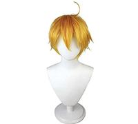 HBYLEE Peluca de cosplay de Genshin Impact Thoma Cosplay, con gorro de peluca, para Halloween, fiesta, Halloween, carnaval, con peluca, color: según plan