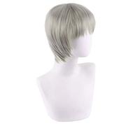 HBYLEE -Role Play Wig For Anime Jujutsu Kaisen Toge Inumaki Cosplay Short Silver White Wig Bangs Halloween Wig[Color:Silver White]