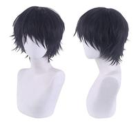 HBYLEE Role Play Wig For Jujutsu Kaisen Toji Fushiguro Cosplay Black Wig Toji Zenin Halloween Hair [Color: según planeo]