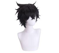 HBYLEE -Role Play Wig For Tate no Yuusha no Nariagari Iwatani Cosplay Wigs Short Black Anime Wig[Color:Black]