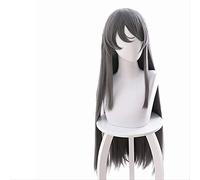 HBYLEE - Wig Anime Cosplay Adolescente Fool Doesn't Dream of A Bbunny Girl Schoolmate Sakurajima Mai Dark Gray and Straight Cosplay Anime Wig[Color]