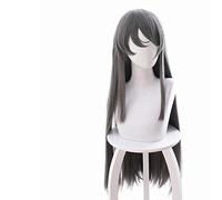 HBYLEE - Wig Anime Cosplay Adolescente Fool Doesn't Dream of A Bbunny Girl Schoolmate Sakurajima Mai Dark Gray and Straight Cosplay Anime Wig[Color]