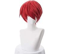 HBYLEE Wig Anime Cosplay Assassination Classroom Karma Akabane/Akashi Seijuro/Sasori Short Flame Red Cosplay Peluca Disfraz Fibra de Alta Temperatura [Color: según plan]