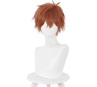 HBYLEE Wig Anime Cosplay Kinoshita Kazuya Cosplay Peluca Anime Rent A Girlfriend Marrón Mullido Corto Resistente al Calor Pelucas de Pelo Sintético + Gorra [Color: One Color]