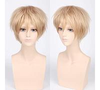 HBYLEE - Wig Anime Cosplay Wig for Carnival Nightlife CluI Party Dress Up Wig Cos Wig Juvenile Anti-Curled Short Hair Color Universal Men's Wig Cosplay Anime Wig Color:Pl-002-2#Linen[Color:-]