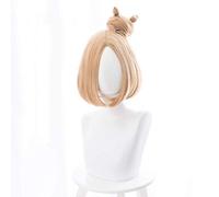 HBYLEE -Wig for cosplay anime cosplay peluca Destino/Gran Order Anime Cosplay Rose Net Pelucas 100% fibra resistente a altas temperaturas, pelo corto y liso 13 pulgadas