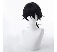 HBYLEE -Wig for cosplay anime cosplay peluca postizos Fate/Grand Order Anime Cosplay Rose Net pelucas fibra resistente a altas temperaturas cola de caballo negro 20 pulgadas