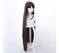 HBYLEE -Wig for cosplay anime cosplay perückeSchicksal/Grand Order Anime Cosplay Rose Net Pelucas con Pony 100% fibra resistente a altas temperaturas, rojo marrón, pelo largo y liso de 48 pulgadas