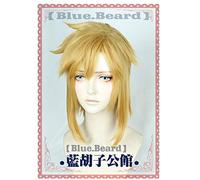 HBYLEE -Wig for cosplay Biamoxer Link Golden Perücke Cosplay Die Legend von Zelda Cosplay Perücken Haar Rolensspiel Goldene Farbe Halloween Rolenspiel Haar