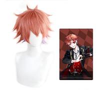 HBYLEE - Wig for cosplay Twisted-Wonderland Floyd Jade Idia Shroud Epel Felmier Lilia Vanrouge Ace Trappola Riddle Rosehearts Cater Diamond Cosplay Wigs Ace Trappola