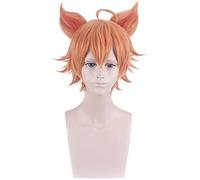 HBYLEE -Wig for cosplay Wig Anime Cosplay peluca para vida nocturna CluI Party Dress Up peluca Cosplay peluca King Cos Zhang Liang colorido pergamino pintado Baili Xuan Ce Swing térmico con orejas