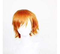 HBYLEE -Wig for cosplay Zootopia Judy y Nick Conejo Cosplay peluca de pelo sintético blanco plateado largo recto Anime Cos peluca Nick