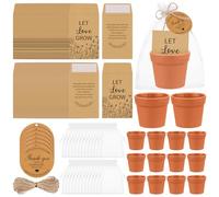 HCEWSBFD 60 juegos de recuerdos de boda con texto en inglés "Let Love Grow" para invitados, incluye maceta de color terracota, etiquetas de agradecimiento y paquetes de semillas autoadhesivas, bolsas