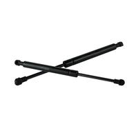 HCPAVEXT Accesorios De Coche Capó Delantero Gas Struts Soporte para B&MW X5 E53 2000-2006 51238402551 Autopartes