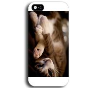 HCPGBGLBTF 4/6/24 piezas de abrazaderas autoadhesivas ajustables for barra cortina, soporte pared for, sin clavos, for colgar en la gancho(6 Pack Clear)