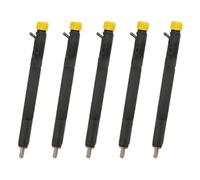 HCQAO Conjunto de 5 inyectores de combustible diésel compatibles con Delphi SSANGYONG REXTON 2.7 XDI A6650170321 EJBR04601D.