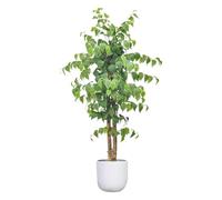 HCZKIUJY Albero artificiale da 1,20 m, splendido Albero finto per interni ed esterni, pianta artificiale realistica, Regalo per l'inaugurazione Della casa.