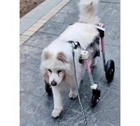 HCZKIUJY Sedia a rotelle per zampe Posteriori, sedia a rotelle regolabile per cani, 2 ruote per animali di grandi e piccole dimensioni, supporto per la mobilità Delle zampe Posteriori(Pink-S)