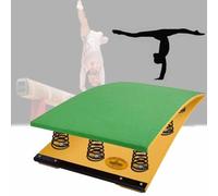 HCZKIUJY Tabla de saltar de gimnasia, puente de salto curvado para adultos para niños, tablero de salto profesional resistente con 2 plumas