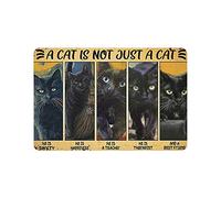 Hdadwy Placa de metal con texto en inglés A Cat Is Not Just A Cat He Is Sanity He Is Happiness para colgar en el hogar, cocina, jardín, garaje, decoración de pared de 20 x 30 cm