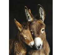 Hdfvlfdsa Diy Kits De Bordado Punto Cruz, Burro Madre Y Niño 40X50Cm Diy 11Ct Cross Stitch Kit De Herramienta De Puntada Cruzada Contada A Mano -