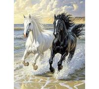 Hdfvlfdsa Kit De Bordado De Punto De Cruz, Caballo Blanco Y Caballo Oscuro 40X50Cm Punto De Cruz, Kit De Bordado Impreso 11 Ct, Kit De Bordado De Punto De Cruz