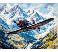 Hdfvlfdsa Kit De Punto De Cruz Avión De Combate Retro 30x40cm Kit De Punto De Cruz Contado Para Adultos, Kit De Costura Y Bordado