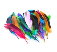 HDGSAFD 50 plumas coloridas para decoración artística de plumas, plumas mixtas naturales, accesorios de joyería, decoración de manualidades