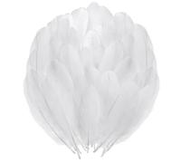 HDGSAFD 500 Plumas Blancas, Materiales para Manualidades, Plumas Decorativas, Se Pueden Utilizar para Sombreros, Ropa, Máscaras, Ramos, Etc.