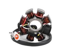 HDKFSUJ Bobina de estator magnético 77039104000 Compatible con Motocicleta 77039104000 250 XCF-W,250 XC-F,250 EXC-F Six Days,250 EXC-F 2006-2011