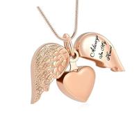HDOYTXXM Collar de Recuerdos de Mascotas con Forma de corazón Alado, joyería de cremación para Llevar Las Cenizas amadas, Collar cercano para Cenizas