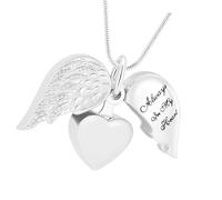 HDOYTXXM Collar de Recuerdos de Mascotas con Forma de corazón Alado, joyería de cremación para Llevar Las Cenizas amadas, Collar cercano para Cenizas