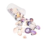 HDOYTXXM Natural Conch Shells Art Supplies Conch Shell Craft Collection Perfecto para la decoración de la casa artesanal y proyectos creativos conchas componentes de joyería, talla única, como se