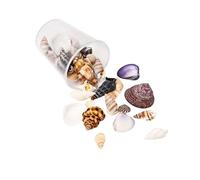 HDOYTXXM Natural Conch Shells Art Supplies Conch Shell Craft Collection Perfecto para la decoración de la casa artesanal y proyectos creativos conchas componentes de joyería, talla única, como se