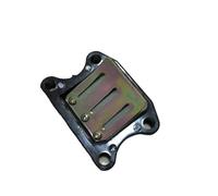 HDRTCBU Válvula de Láminas Repuestos para Sistema de Aire de válvula de láminas de admisión de Scooter Compatible con Honda 50cc, DIO 50, LEAD90, AF18, 24, 27, CL50QT, Carburador Válvula de Lengüeta