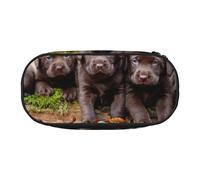 HDTVTV Familia de Cachorros de Labrador, Cachorros pequeños Marrones Estuche para lápices, Estuche portátil con Cremallera, Estuche para cosméticos