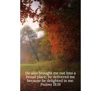He also brought me out into a broad place; he delivered me because he delighted in me. Psalms 18:19 - Daily Journal