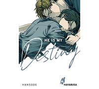 He is my Destiny: Yaoi-Einzelband aus dem Omegaverse ab 16