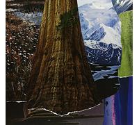 Head Boggle - Headboggle [Vinilo]