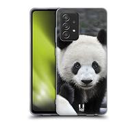 Head Case Designs Primer Plano De Un Panda La Fauna Carcasa de Gel de Silicona Compatible con Galaxy A52 / A52s / 5G (2021)