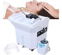 Head Spa Lavabo Para Cabello Para Personas Postradas En Cama Con Lavabo De Champú De Circulación De 60 L, Para Head Spa Y Peluquerías (WHITE)