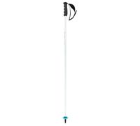 HEAD Worldcup SL Bastones de esquí, Unisex, Blanco/Negro/Azul Velocidad, 130
